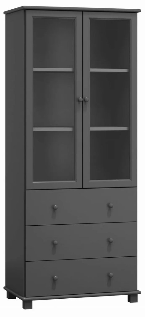 Vitrína RW104 90x42 cm Dub