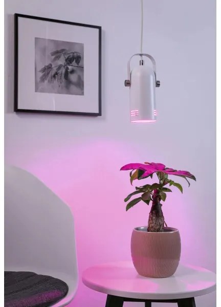 Paulmann 79767 - LED RGBW 1xE27/15W Závesný luster na lanku LAVEA 230V biela