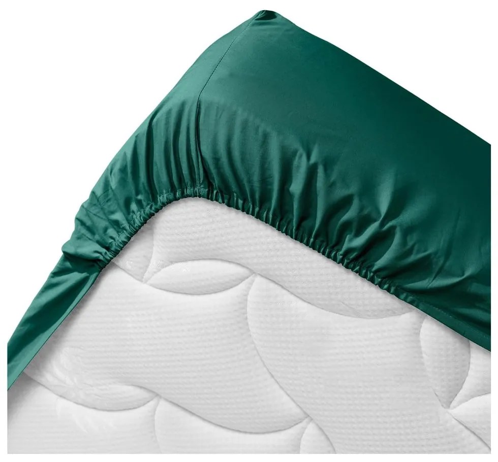 Zelená napínacia plachta z Bio bavlny 140x190 cm Biolina – douceur d'intérieur