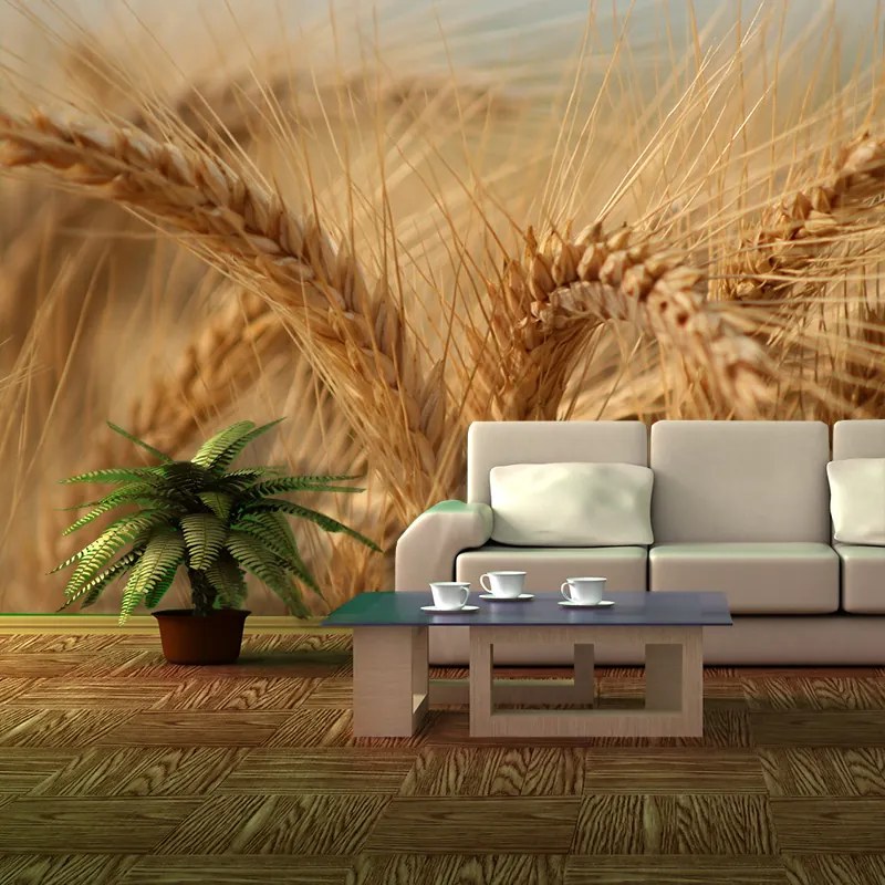 Sablio Tapeta Klasy 2 - 336x220 cm