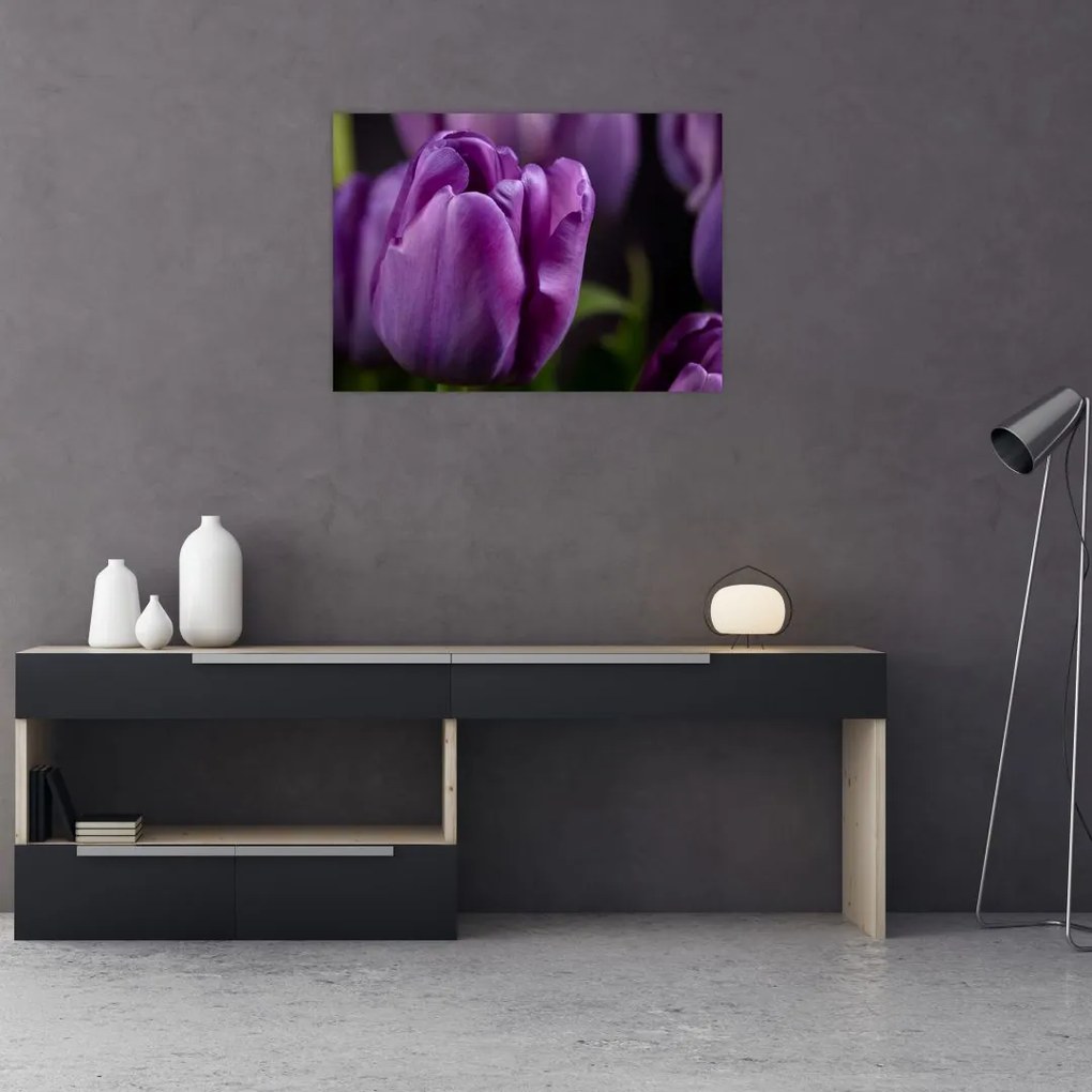 Sklenený obraz kvetov tulipánov (70x50 cm)