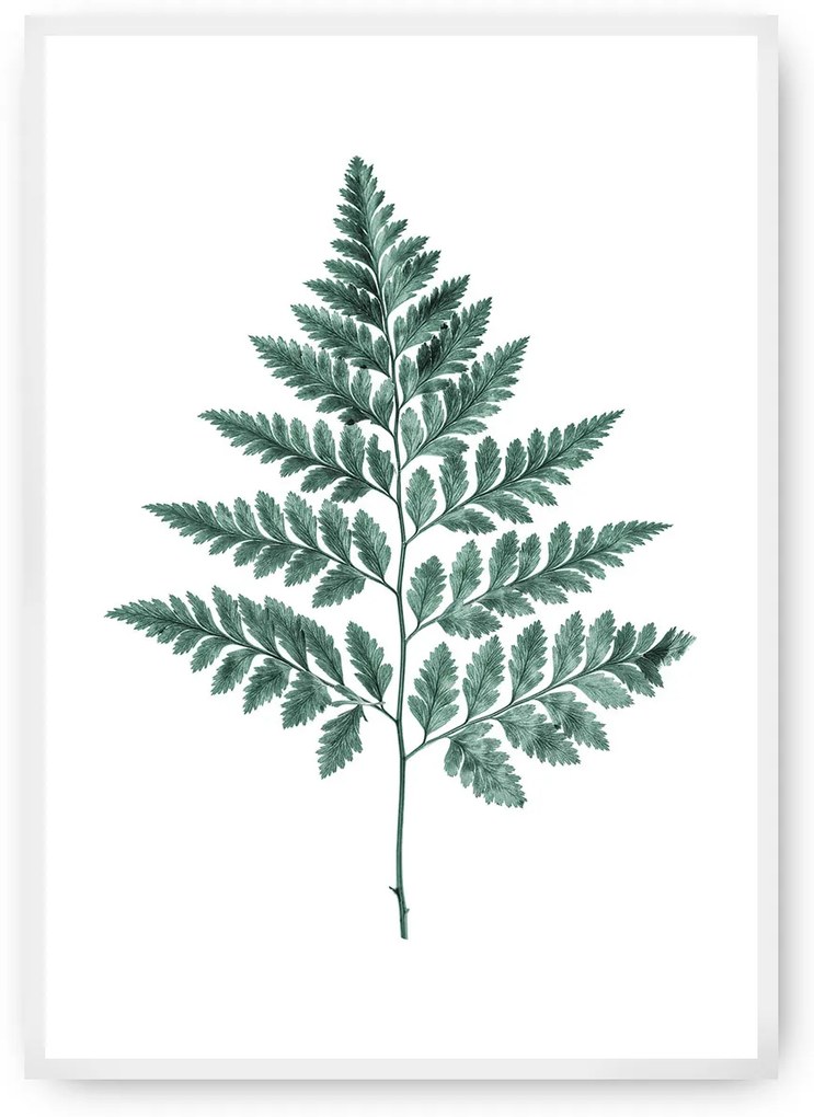 Plagát Fern 21 x 30 cm Emerald Green