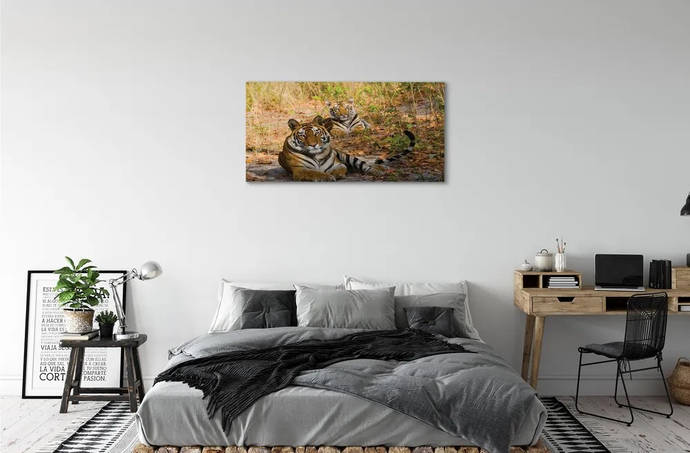 Obraz na plátne Tigers 125x50 cm