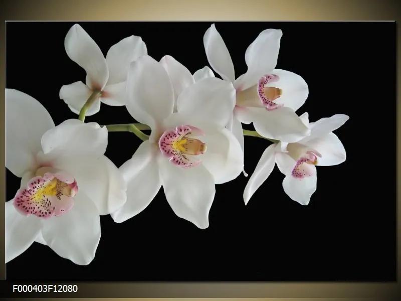 Obraz na plátne Biele kvety orchidey, Obdĺžnik 120x80cm 87,92 €