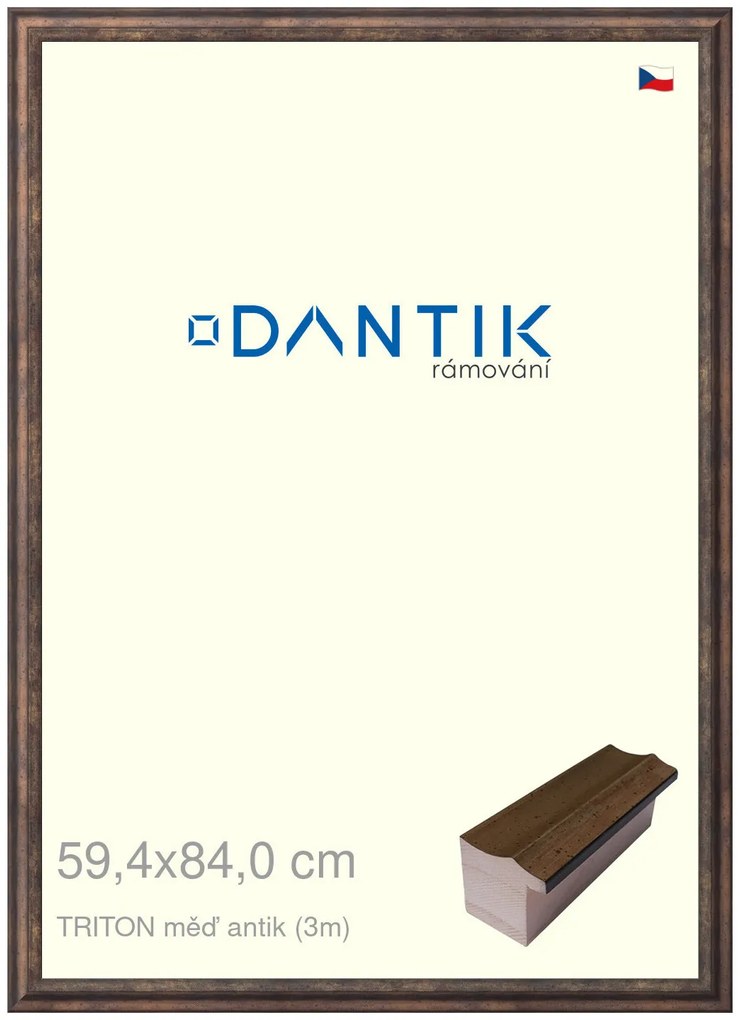 DANTIK rám na obraz 59,4x84 | TRITON měď antik (Plexi Čiré)