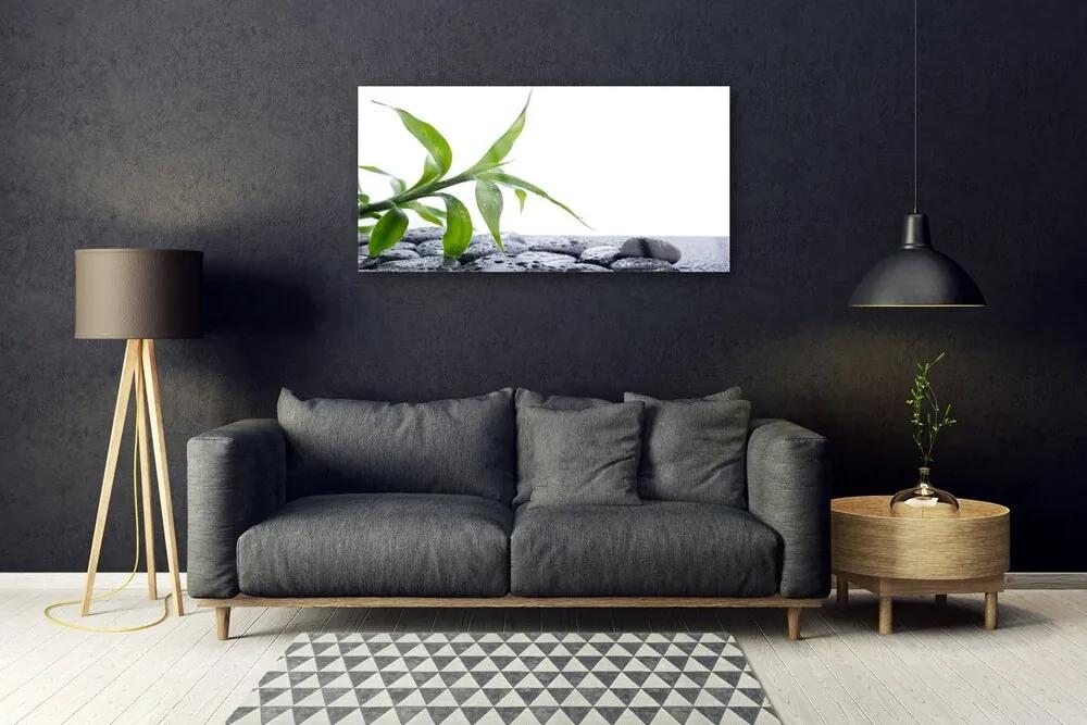 Skleneny obraz List príroda kamene rastlina 140x70 cm