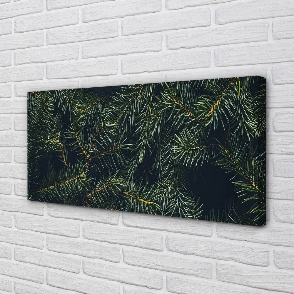 Obraz na plátne Vianočný strom vetvičky 125x50 cm