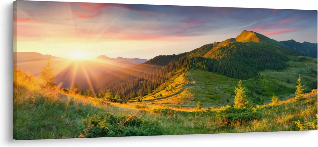 Obraz - Letná krajina (120x50 cm)