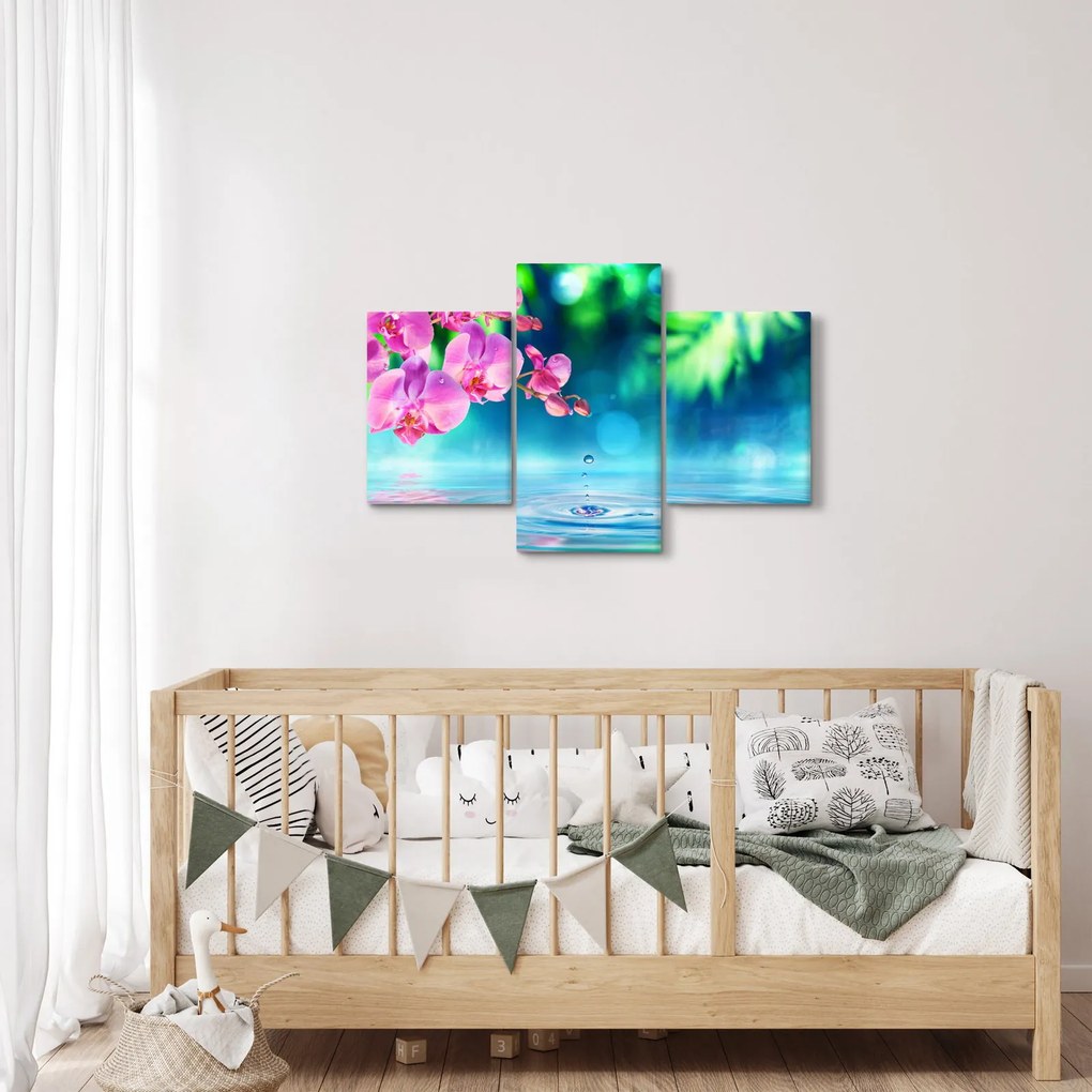 Obraz - Orchidea (90x60 cm)