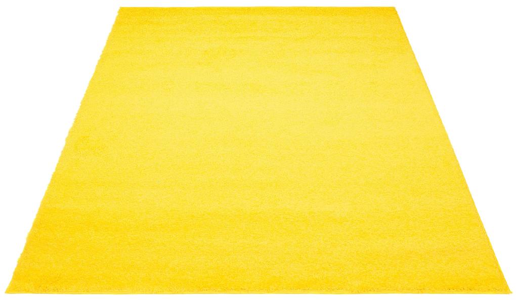 Dizajnový koberec AMARILLO - SHAGGY ROZMERY: 80x300