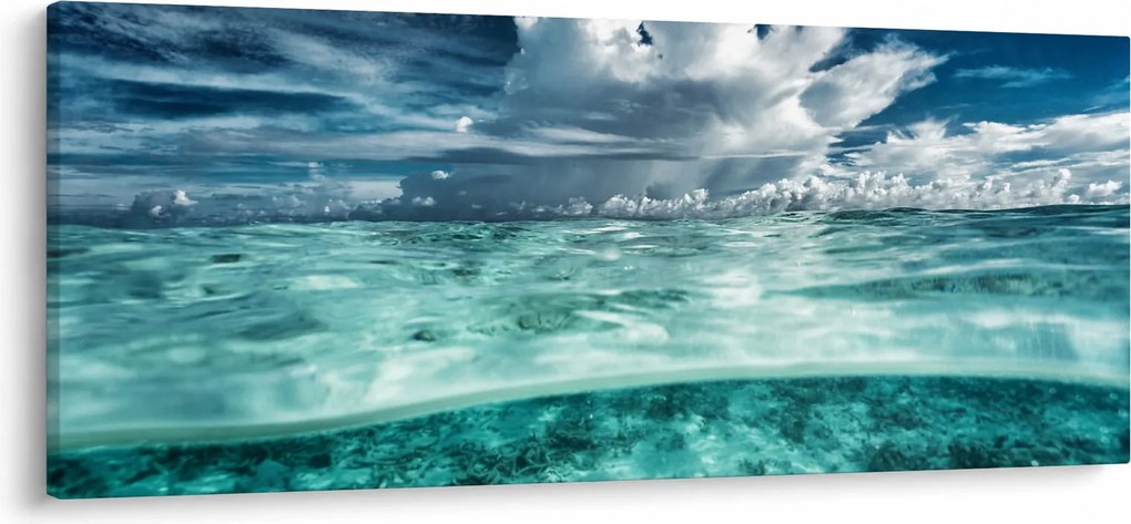 Obraz - Pohľad pod morskú hladinu (120x50 cm)
