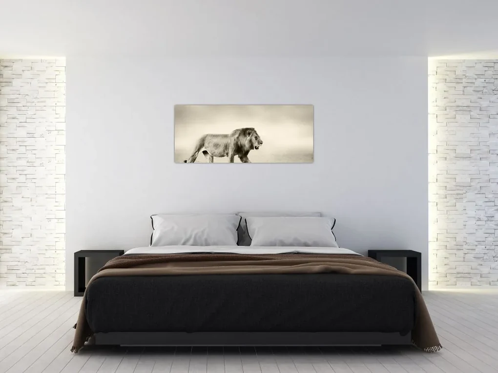 Obraz - Hladný lev (120x50 cm)