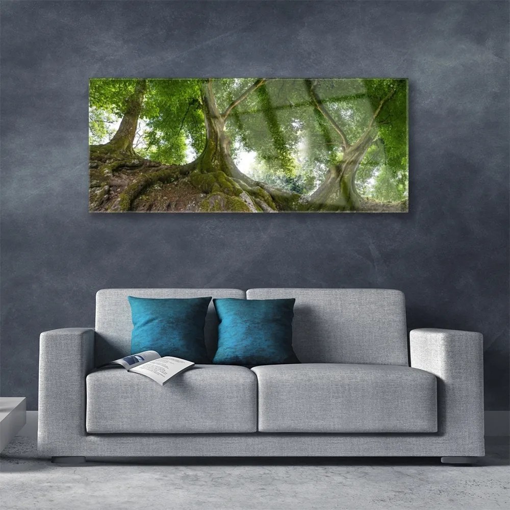 Obraz plexi Stromy rastlina príroda 125x50 cm