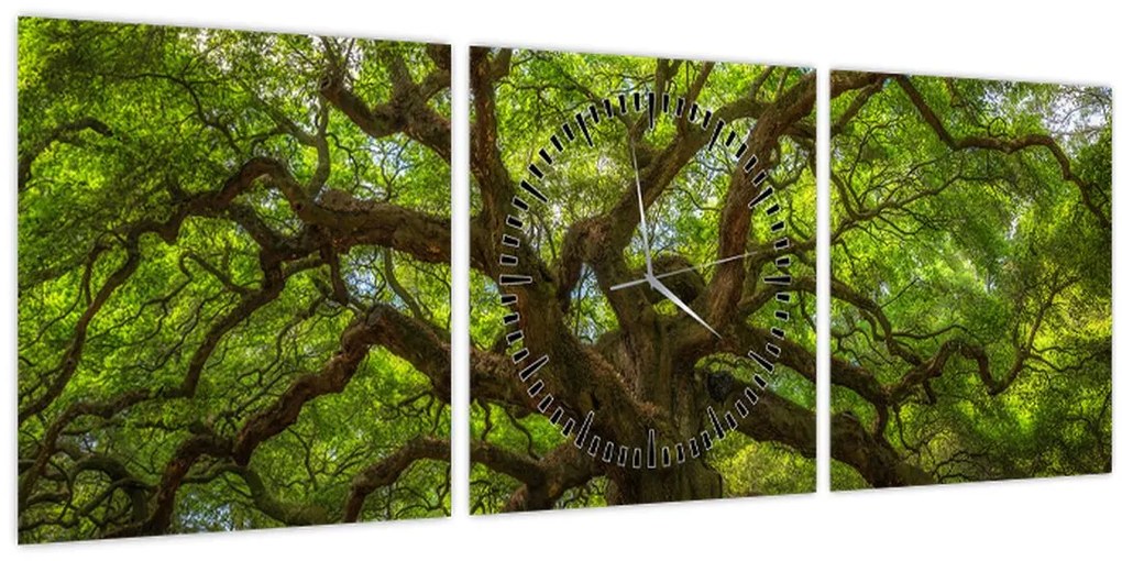 Obraz - Zelený strom (s hodinami) (90x30 cm)