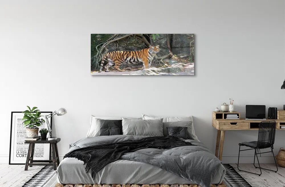 Obraz na akrylátovom skle Tiger džungle 120x60 cm