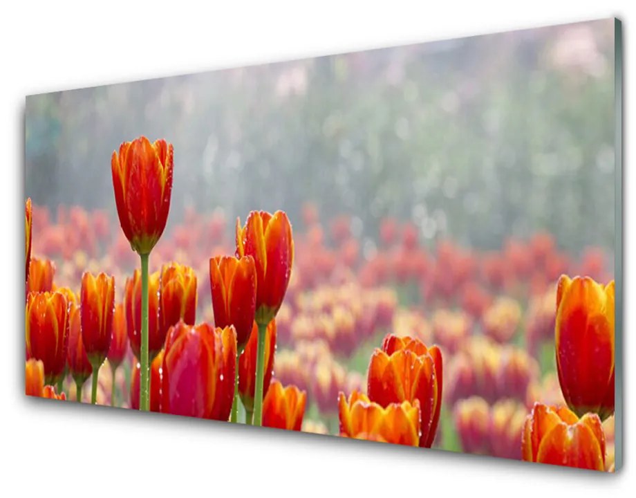 Sklenený obklad Do kuchyne Tulipány kvety rastlina 120x60 cm