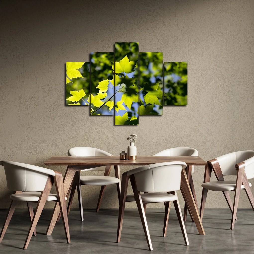Obraz - javorové listy (150x105 cm)