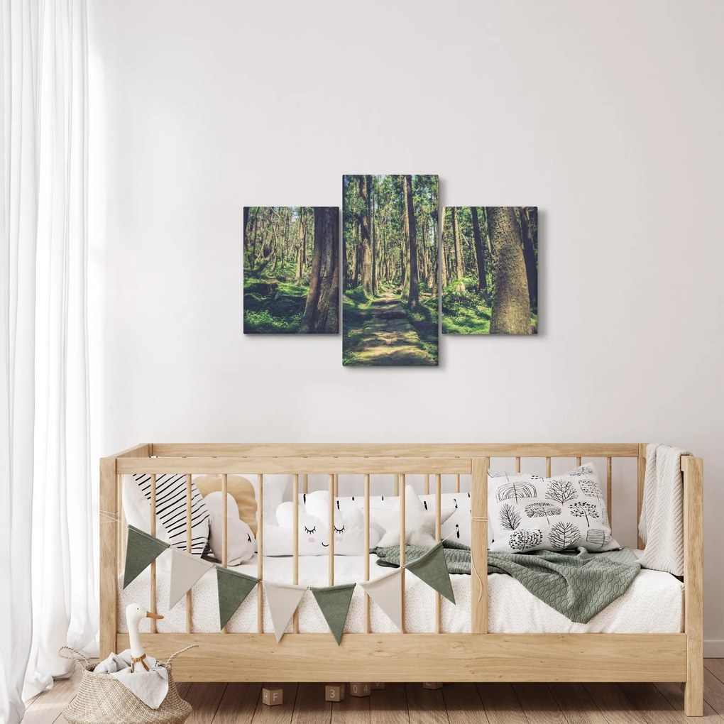 Obraz cesty medzi stromami (90x60 cm)