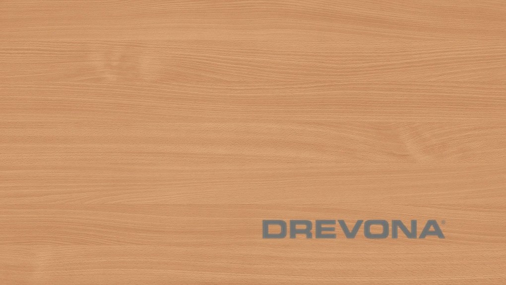 DREVONA Písací stôl buk REA OFFICE 60