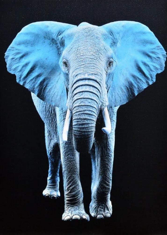 Falc Obraz na plátne - Modrý slon, 50x70 cm | BIANO