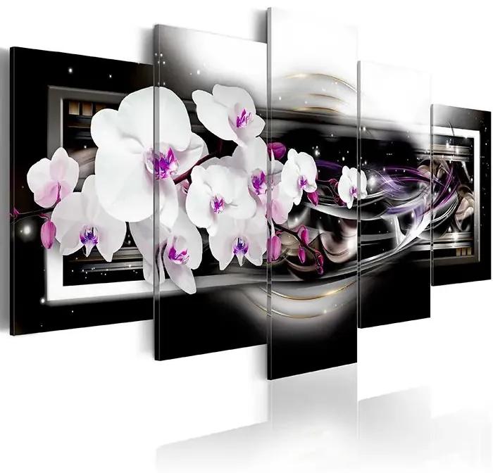 Obraz - Orchids on a black background Veľkosť: 100x50, Verzia: Standard
