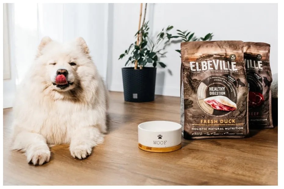 Keramická miska pre psa ø 16 cm Dog Fantasy WOOF – Plaček Pet Products