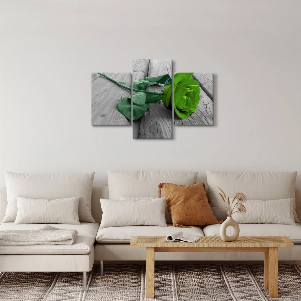 Obraz - Zelená ruža (90x60 cm)