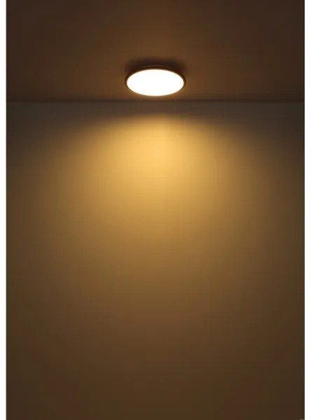 Globo 41569-18B - LED Stropné svietidlo XANDER LED/18W/230V 3000K pr. 35 cm čierna