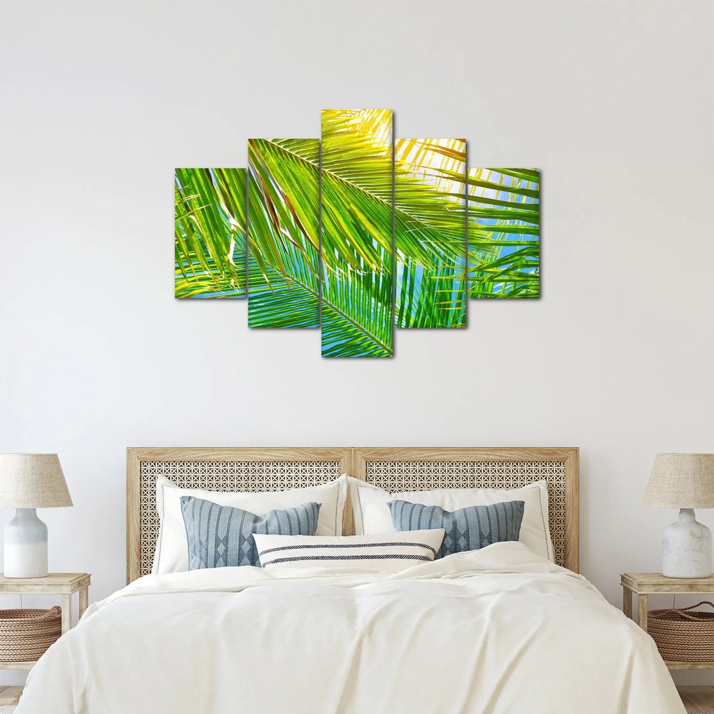 Obraz - Palmové listy (150x105 cm)