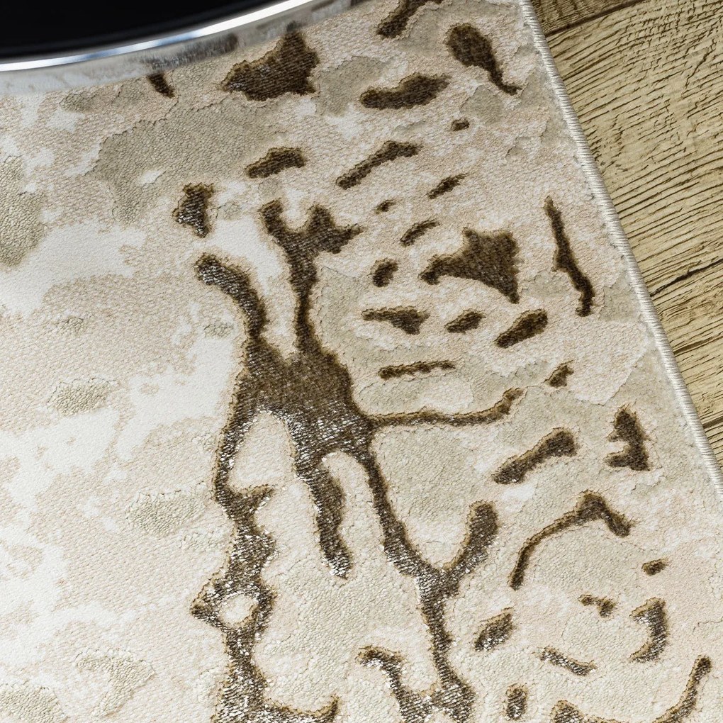 Kusový koberec Allure 1961 cream/gold, 200x290, žltá, kancelária, Dywany Łuszczów