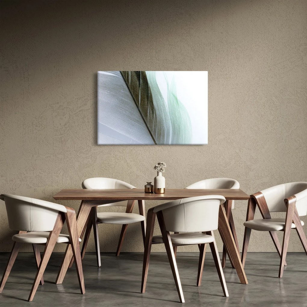Obraz - Perie, makro (90x60 cm)