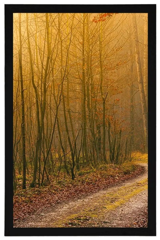 Plagát cestička do lesa - 20x30 silver