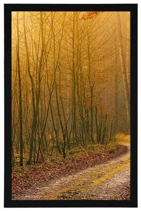 Plagát cestička do lesa - 60x90 black