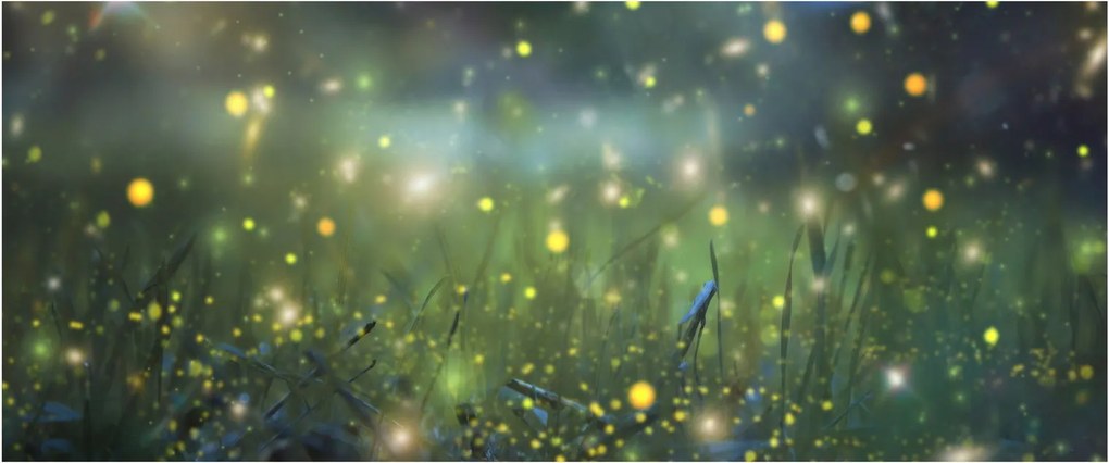 Obraz - Čarovná noc (120x50 cm)
