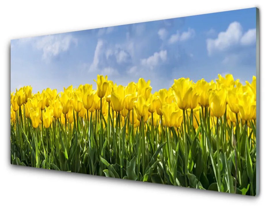 Skleneny obraz Tulipány kvety rastlina 120x60 cm