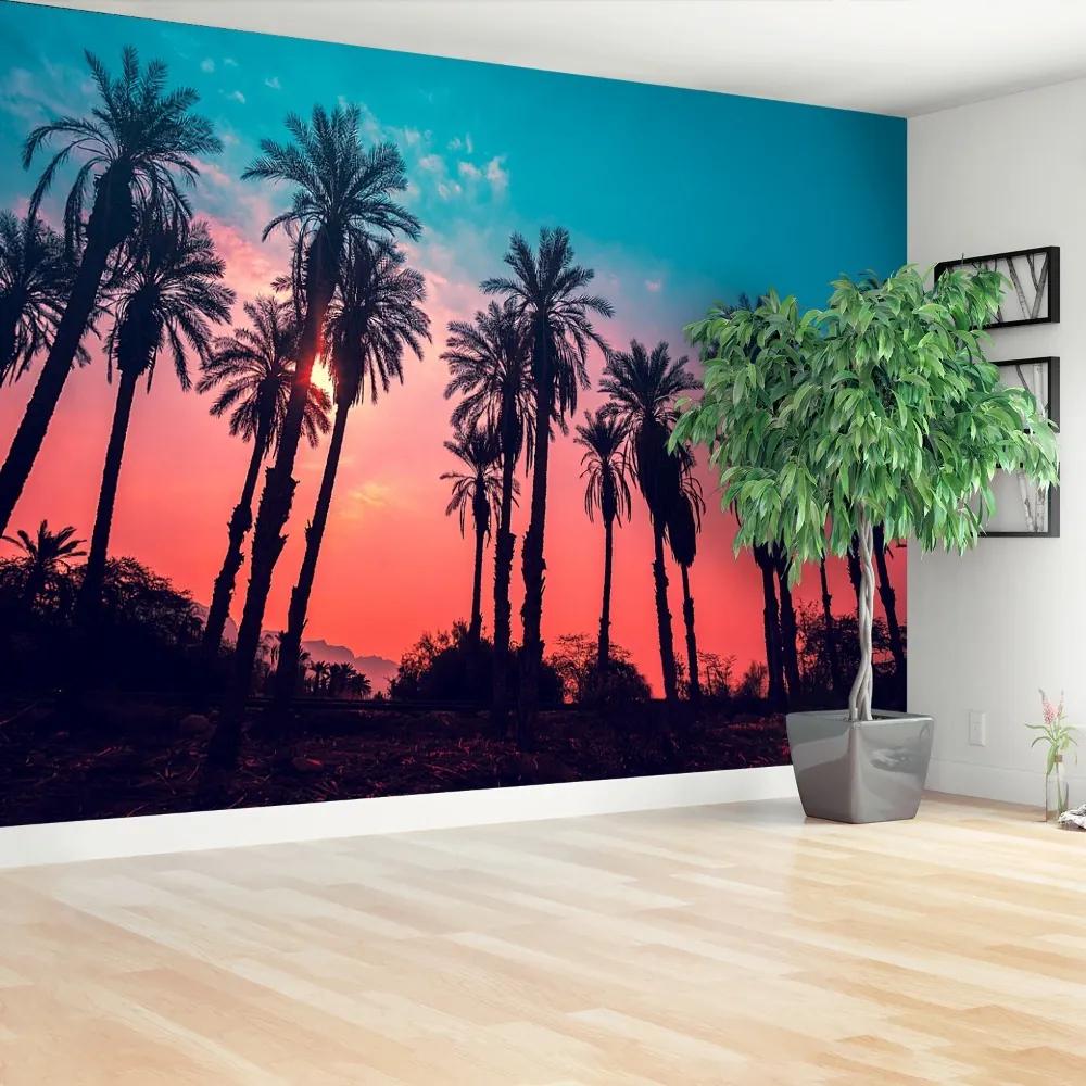 Fototapeta Vliesová Tropické palmy 208x146 cm