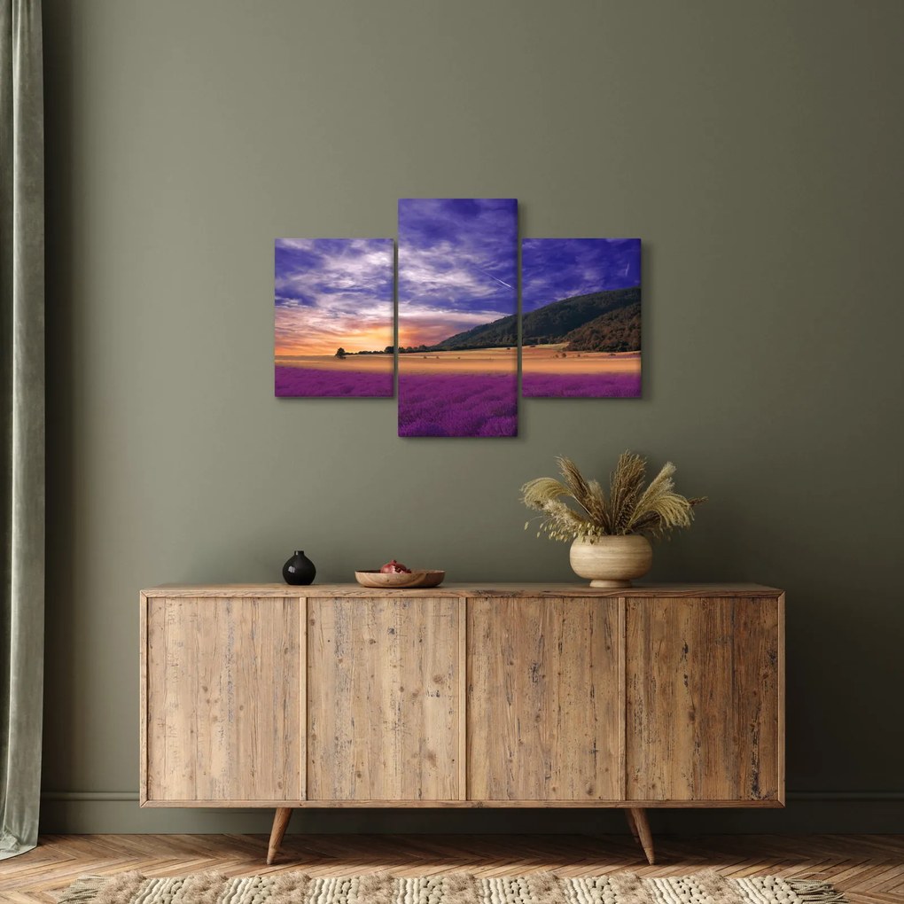 Obraz levanduľovej lúky (90x60 cm)