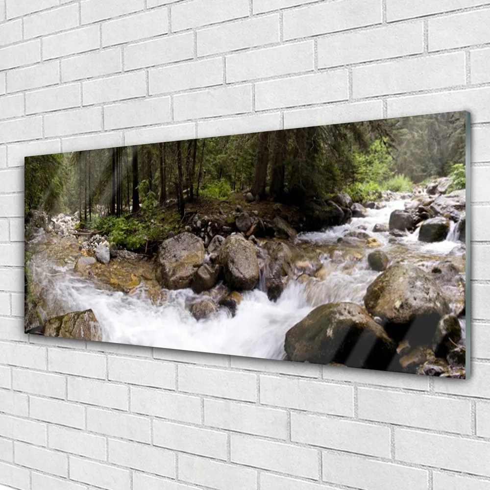 Obraz plexi Les rieka vodopády 125x50 cm
