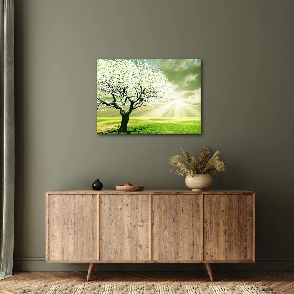 Obraz stromu na lúke (70x50 cm)