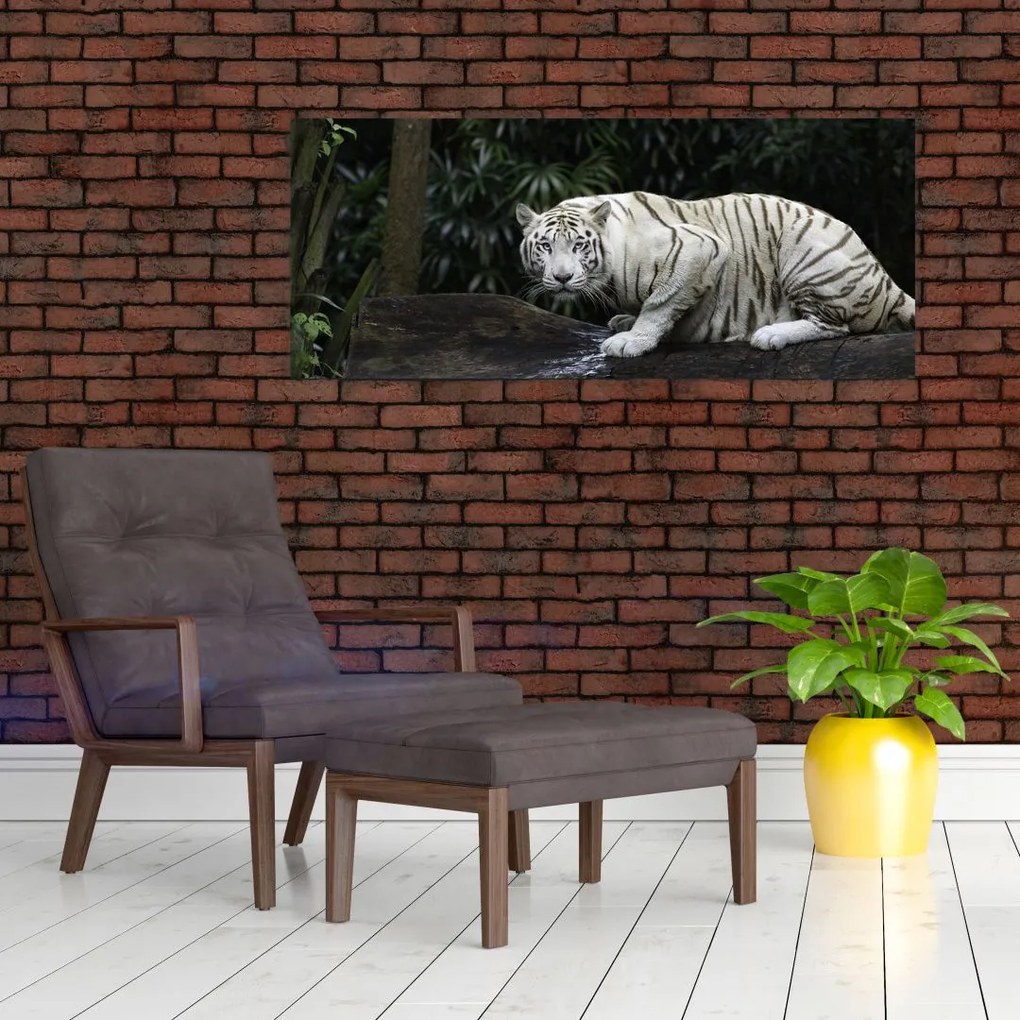 Obraz - Tiger albín (120x50 cm)