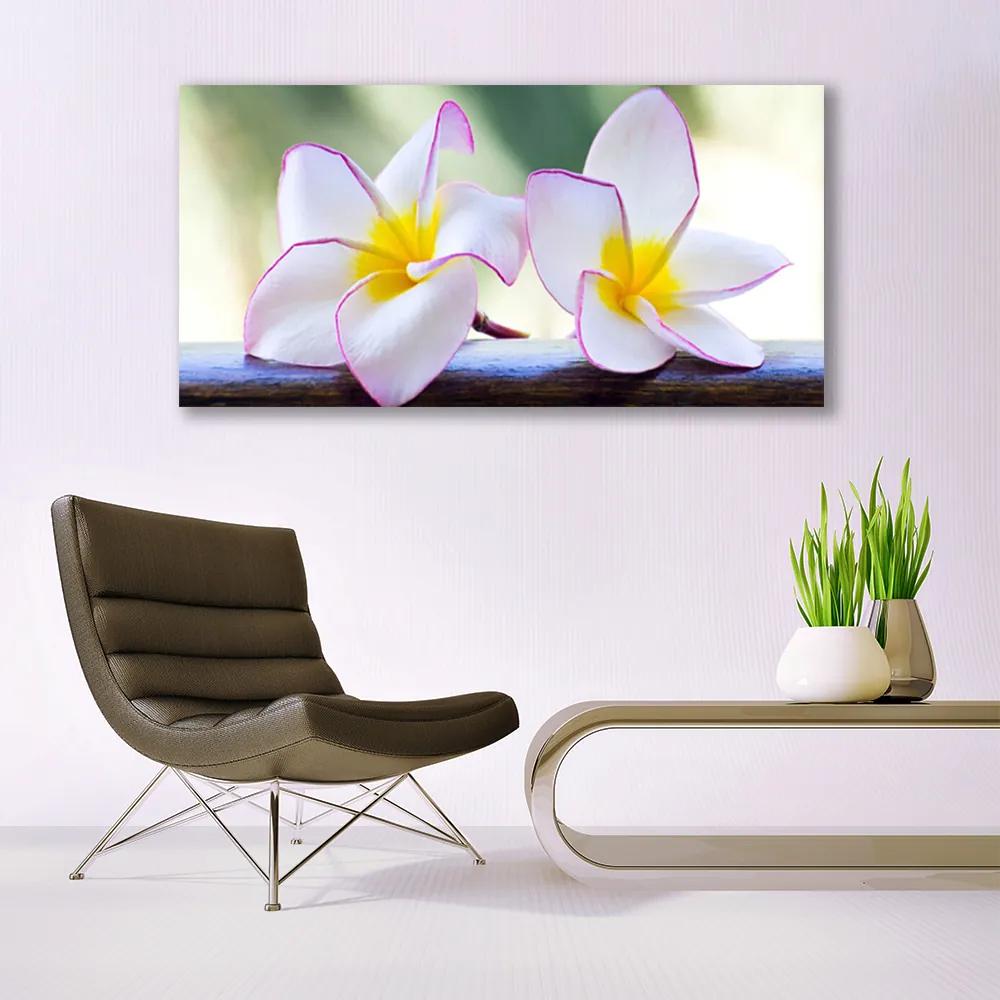 Obraz plexi Kvety plátky plumérie 120x60 cm