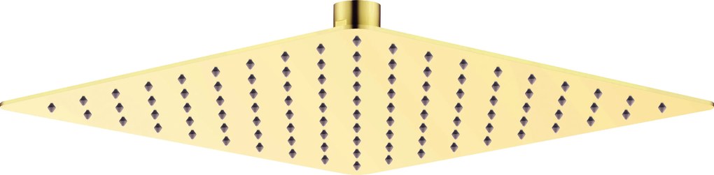 Deante Hlavová sprcha Cascada 250x250 mm - NAC Z02K