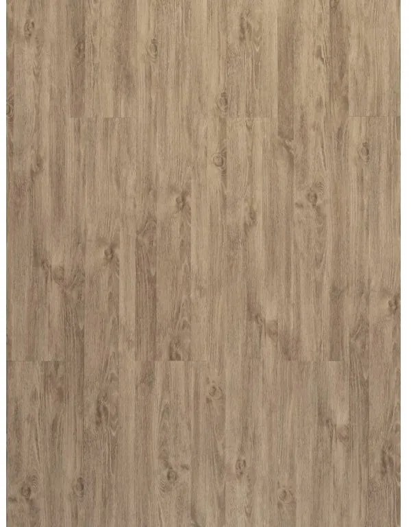 Vinylová podlaha Tajima Classic Ambiente 6624 šedobéžová, 1219,2 x 177,8 mm, Tajima
