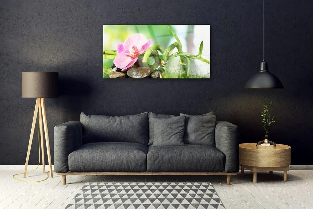Obraz plexi Bambus stonka rastlina príroda 100x50 cm