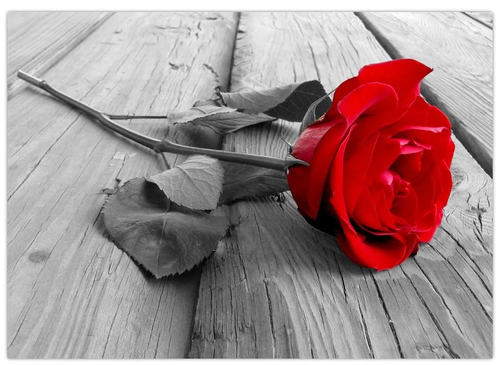 Sklenený obraz červených ruží (70x50 cm)