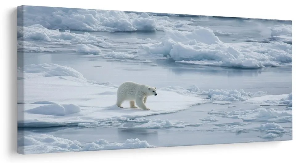 Obraz polárny medveď na ľadovej kryhe
