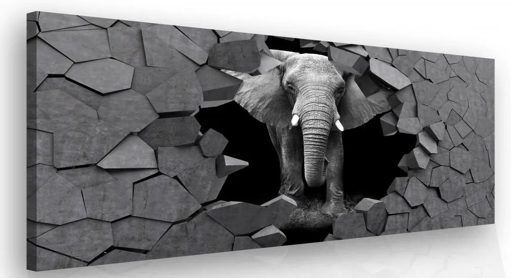 InSmile Moderní obraz na zeď - slon v kameni 120x80 cm