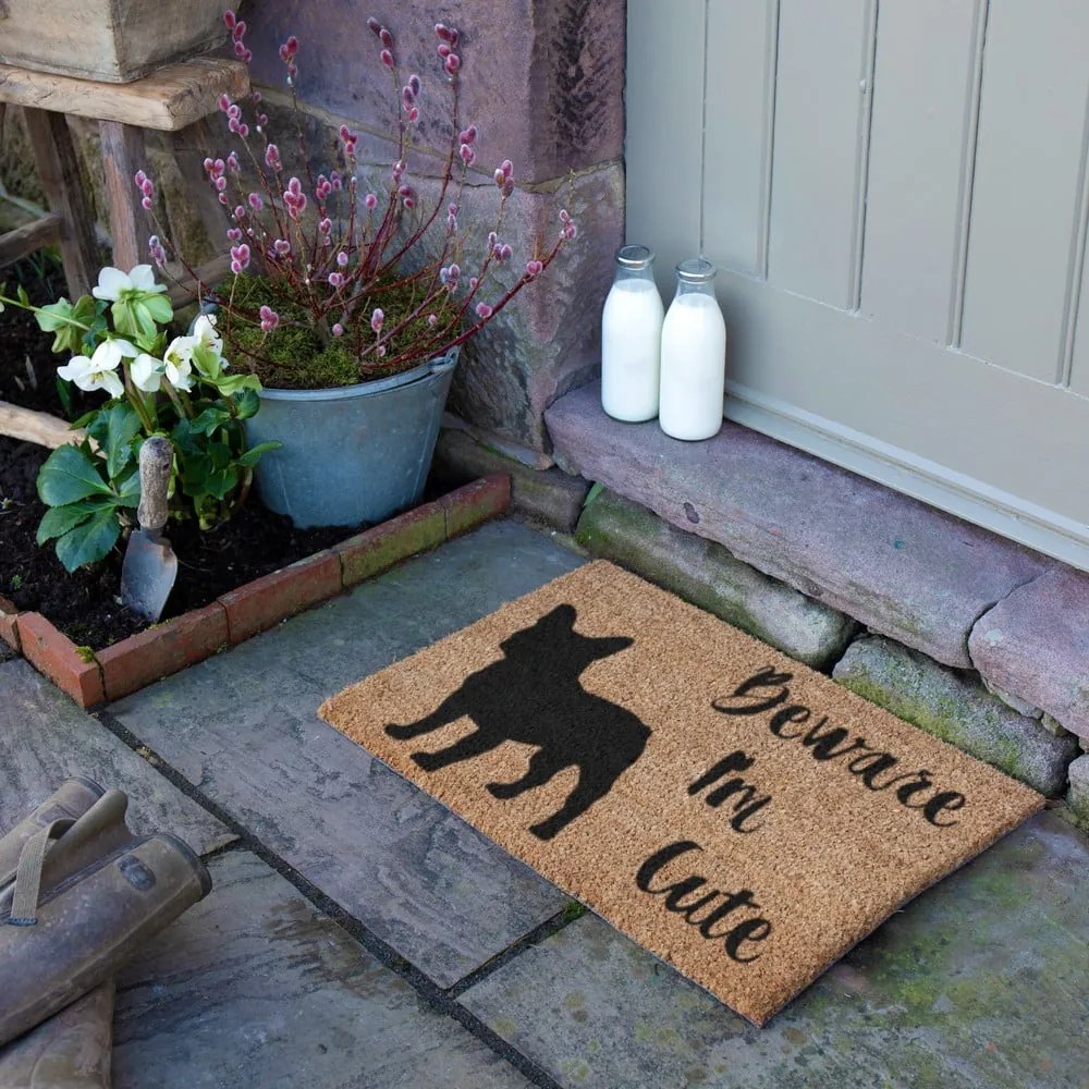 Rohožka z kokosového vlákna 40x60 cm Beware I'm Cute French Bulldog – Artsy Doormats
