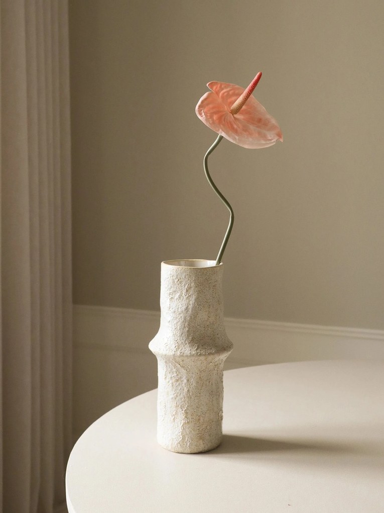 Rastlinná dekorácia Coral Anthurium