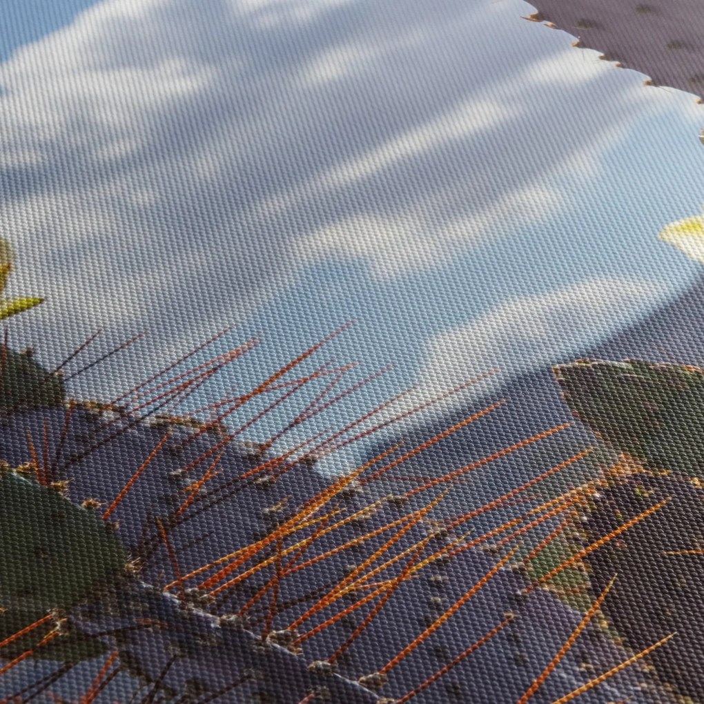 Obraz opuncie (120x50 cm)